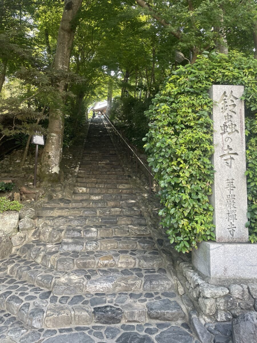 山縣 夏の思い出